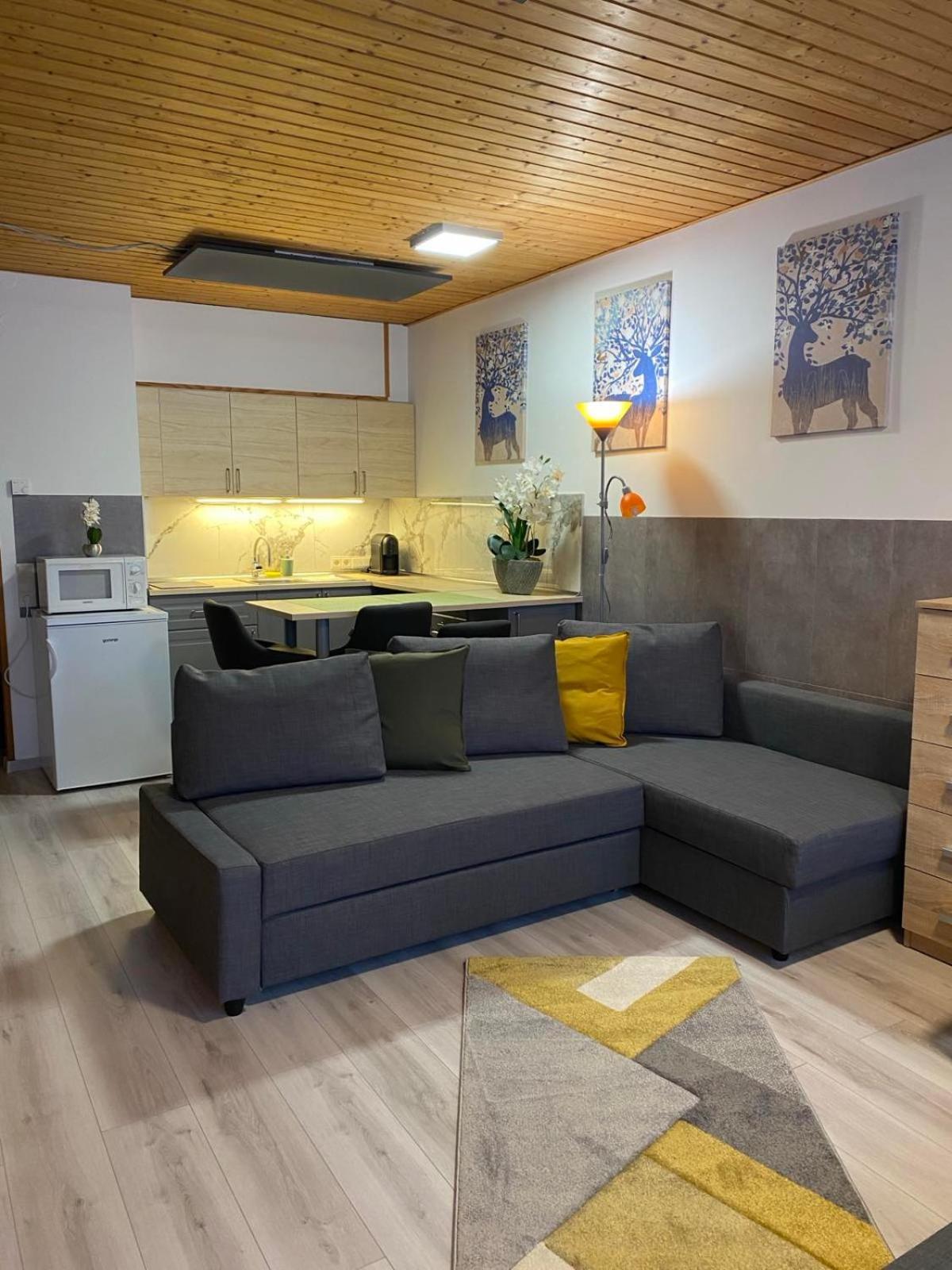 Cosy Apartment Tauplitz